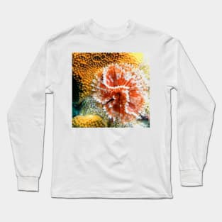 Red and White Feather Duster Coral Worm Long Sleeve T-Shirt